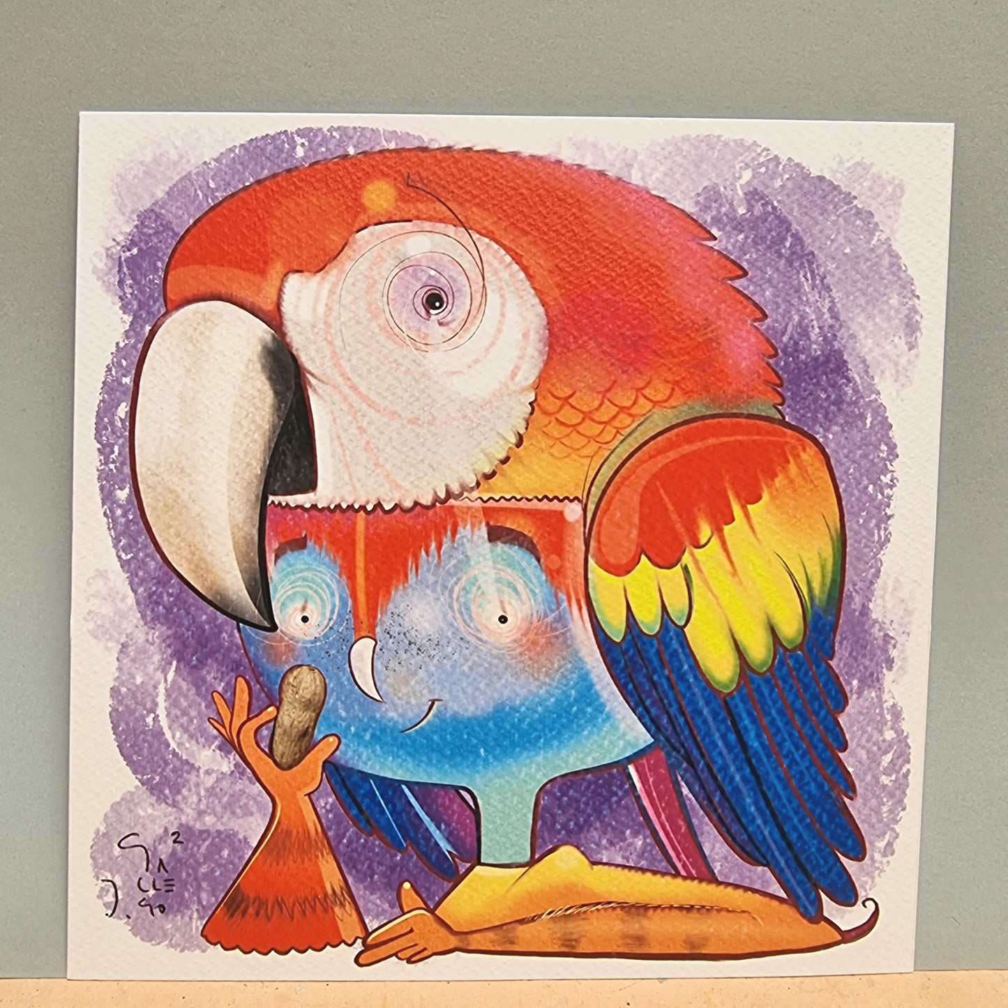 Cuadradito Loro rojo